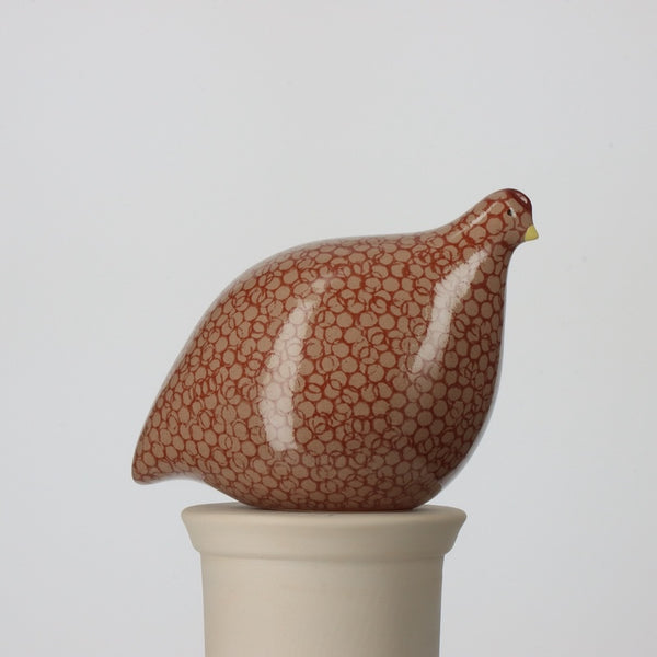 Quail Beige Speckled Red - Armand
