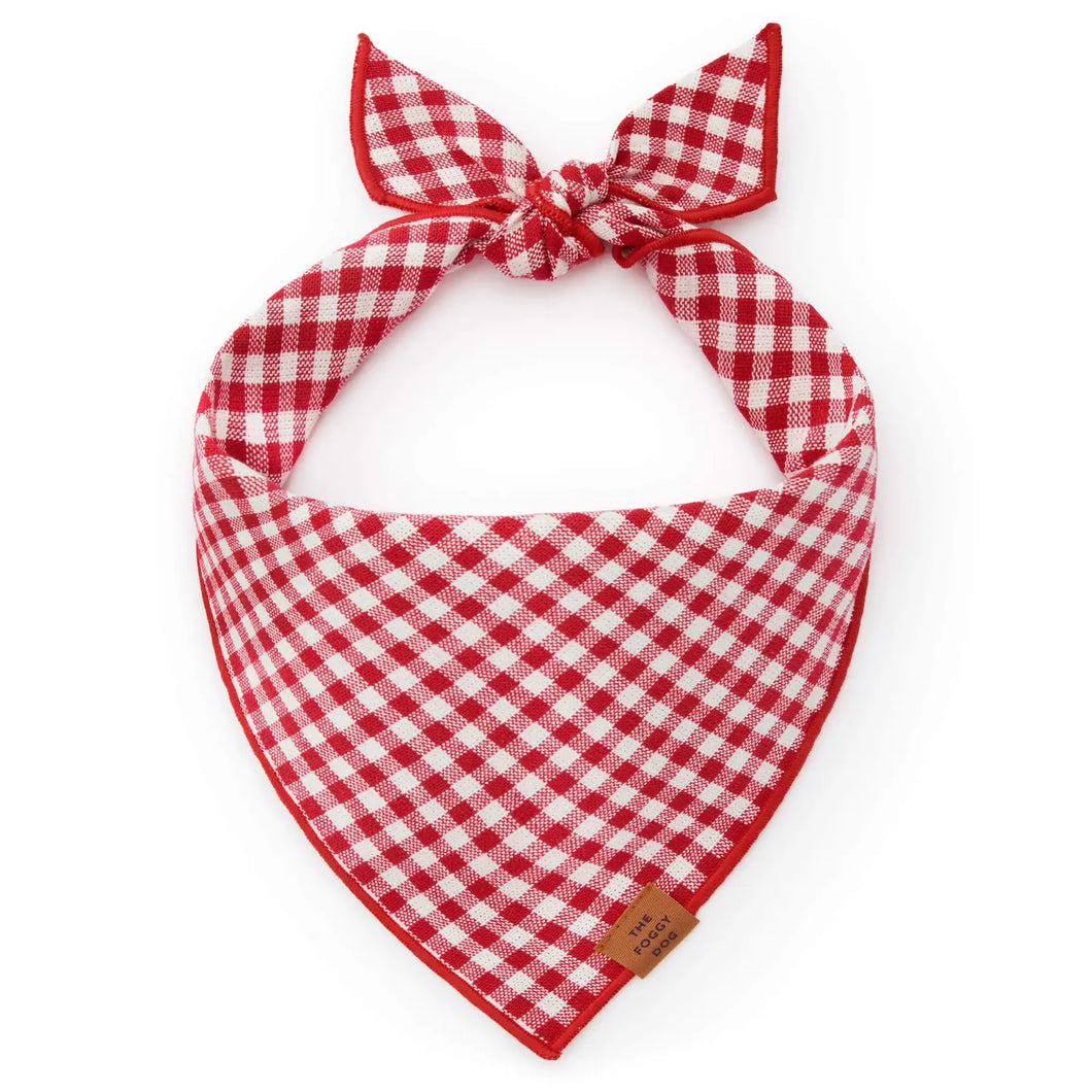 Red Gingham Dog Bandana