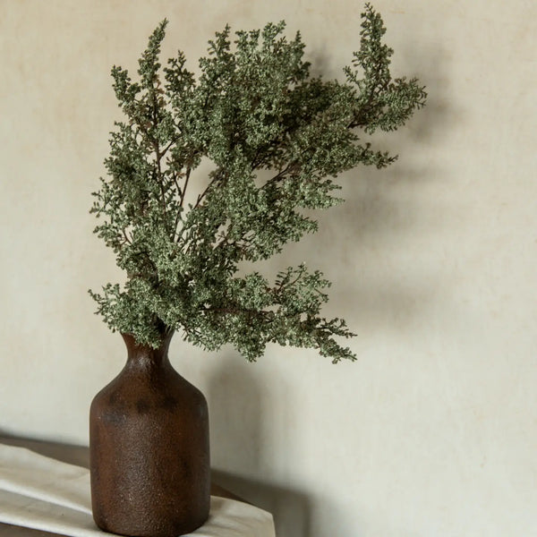 Sage Caspia Spray