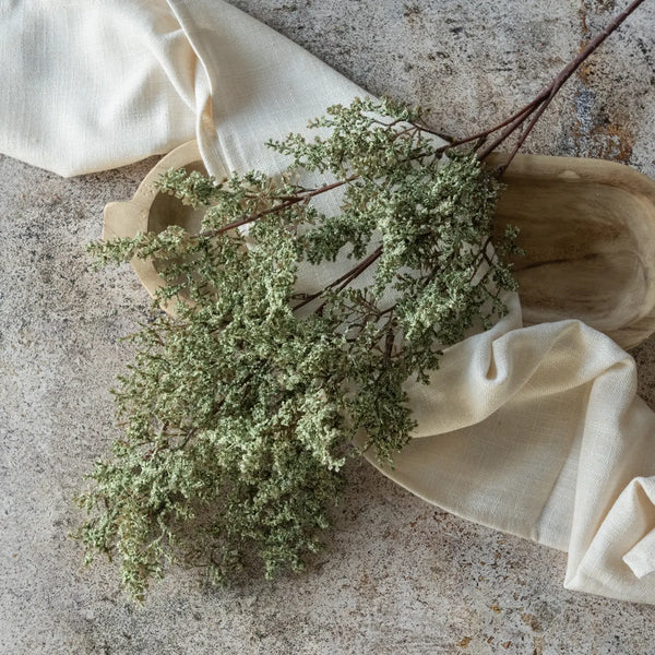 Sage Caspia Spray