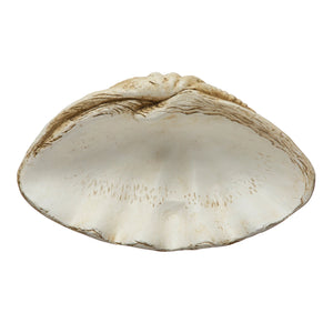 Magnesia Clamshell