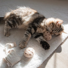 Load image into Gallery viewer, Tea Time Cat Toy