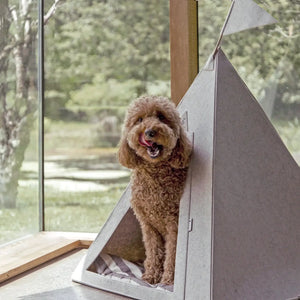 Pet Teepee