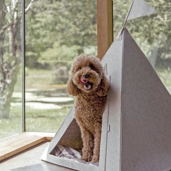 Pet Teepee