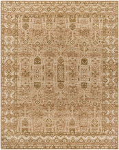 Load image into Gallery viewer, Terrance Rug