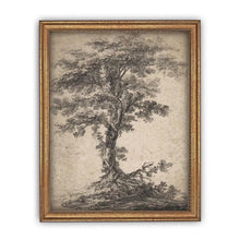 Load image into Gallery viewer, The Noble Oak Vintage Framed Canvas Art