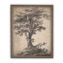 Load image into Gallery viewer, The Noble Oak Vintage Framed Canvas Art
