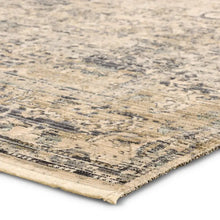 Load image into Gallery viewer, Torin Rug
