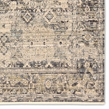 Load image into Gallery viewer, Torin Rug