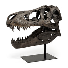 Load image into Gallery viewer, Tyrannosaurus Rex Sculpture