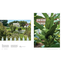 Load image into Gallery viewer, Upstate Now Book