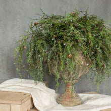 Load image into Gallery viewer, Weeping Cedar Pick with Snow