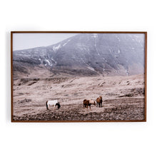 Load image into Gallery viewer, Wild Horses
