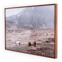 Load image into Gallery viewer, Wild Horses
