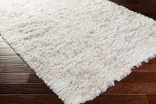 Load image into Gallery viewer, Willow Rug