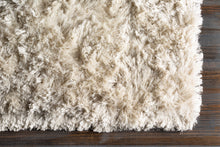 Load image into Gallery viewer, Willow Rug