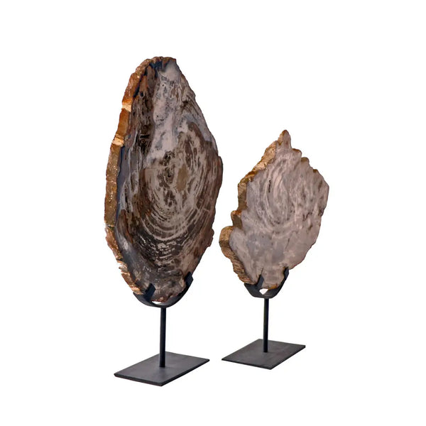 Petrified Wood On Iron Stand