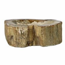 Load image into Gallery viewer, Petrified Wood Soap Dish