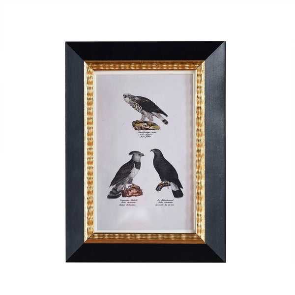 Andover Frame Shop Photo Frames – Ville and Rue