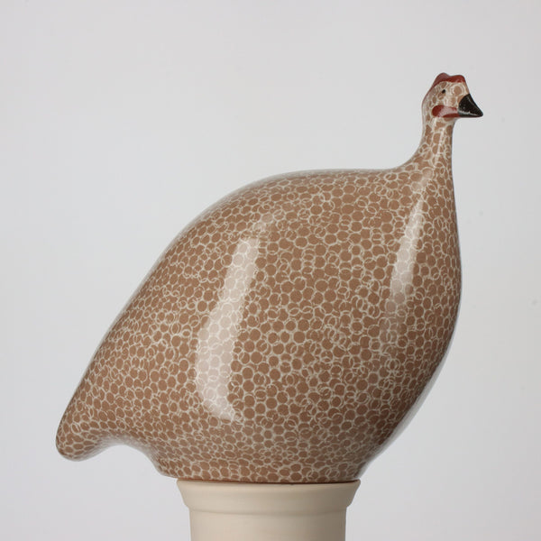 Guinea Fowl Brown Speckled White - Eloise