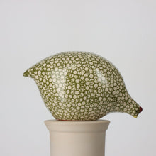 Load image into Gallery viewer, Quail White Speckled Green - Remy