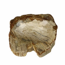 Load image into Gallery viewer, Petrified Wood Soap Dish