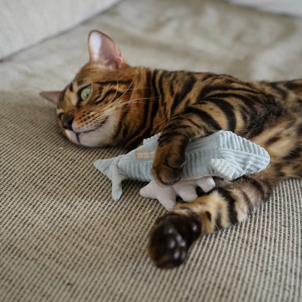 Trout Cat Toy