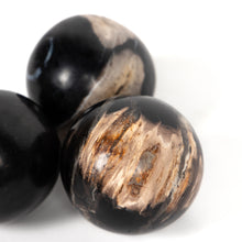 Load image into Gallery viewer, Petrified Wood Ball Set