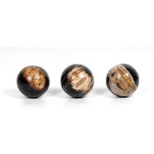 Load image into Gallery viewer, Petrified Wood Ball Set