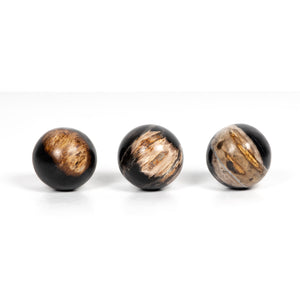 Petrified Wood Ball Set