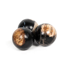 Load image into Gallery viewer, Petrified Wood Ball Set