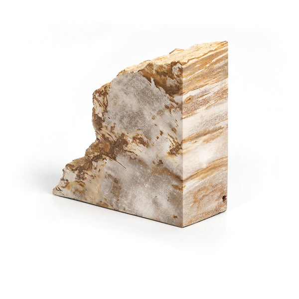 Petrified Wood Bookends