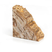 Load image into Gallery viewer, Petrified Wood Bookends