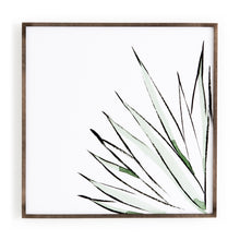 Load image into Gallery viewer, Botanicals By Jess Engle