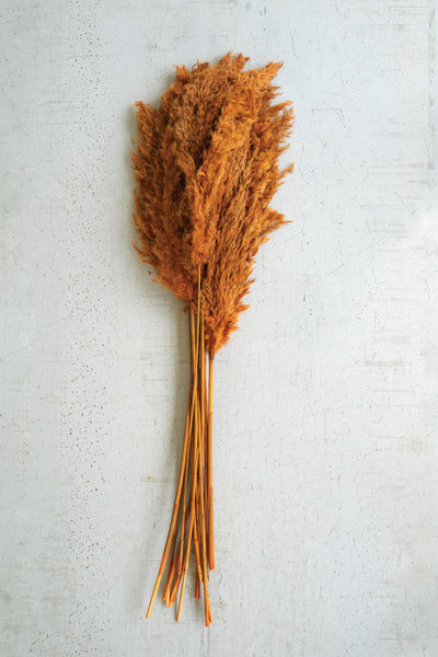 Bundle of Auburn Pampas Grass