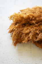 Load image into Gallery viewer, Bundle of Auburn Pampas Grass