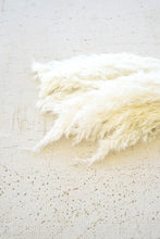 Load image into Gallery viewer, Bundle of White Pampas Grass