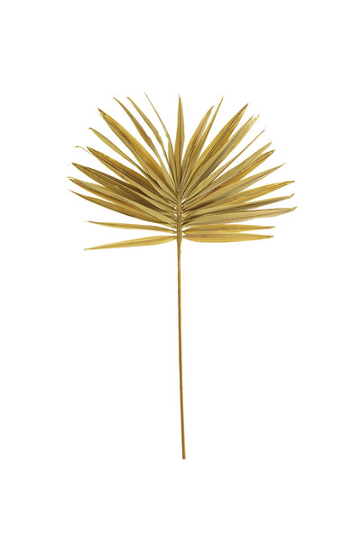 Tan Palm Leaf