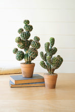 Load image into Gallery viewer, Artificial Potted Barrel Cactus