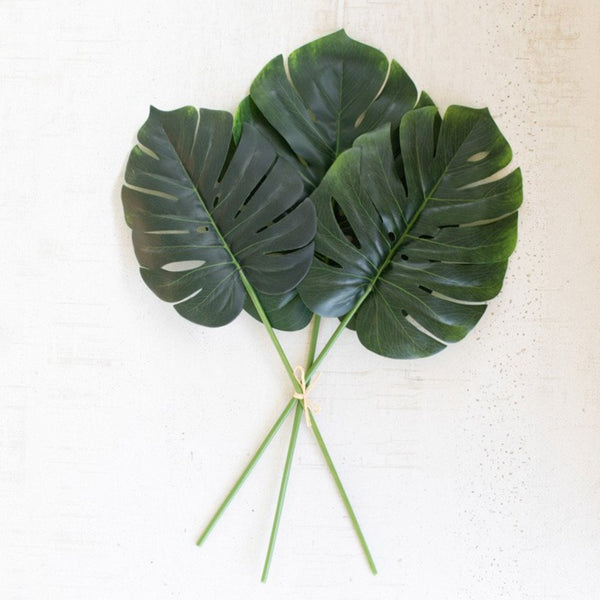 Large Monstera Leaf Bundle