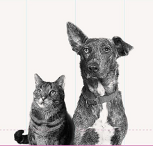 Load image into Gallery viewer, Sasha &amp; Maverick Tea Towel