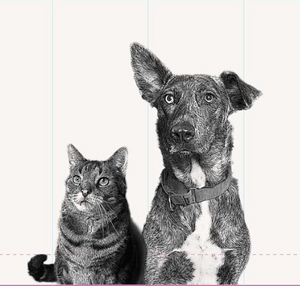 Sasha & Maverick Tea Towel