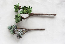 Load image into Gallery viewer, Faux Succulent Branch
